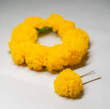 Marigold Gajra